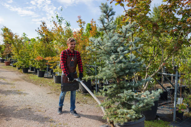 Mulching Services in Cheswick, PA